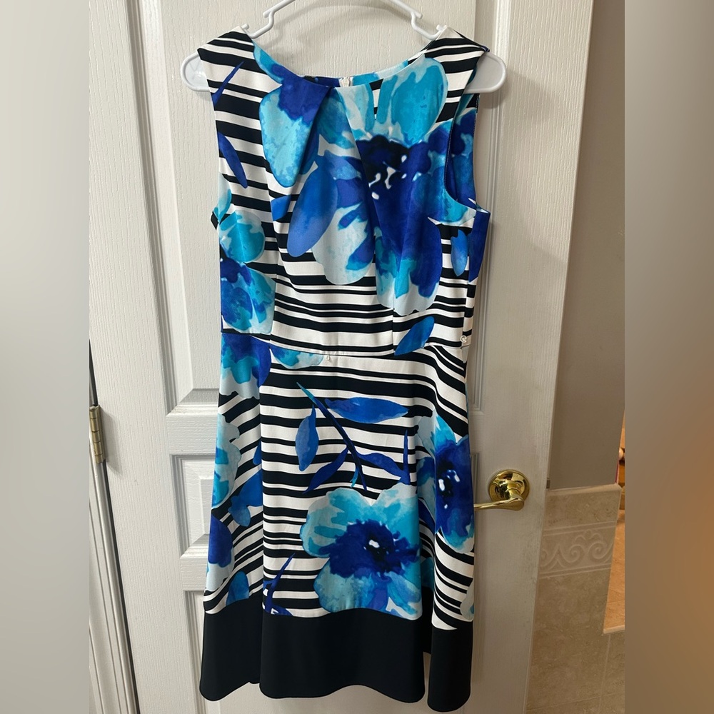 Signature Darby Blue Floral Striped Black and White Sleeveless Dress